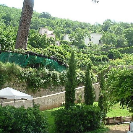 Pietra Rosa Bed & Breakfast Tramonti Exterior photo