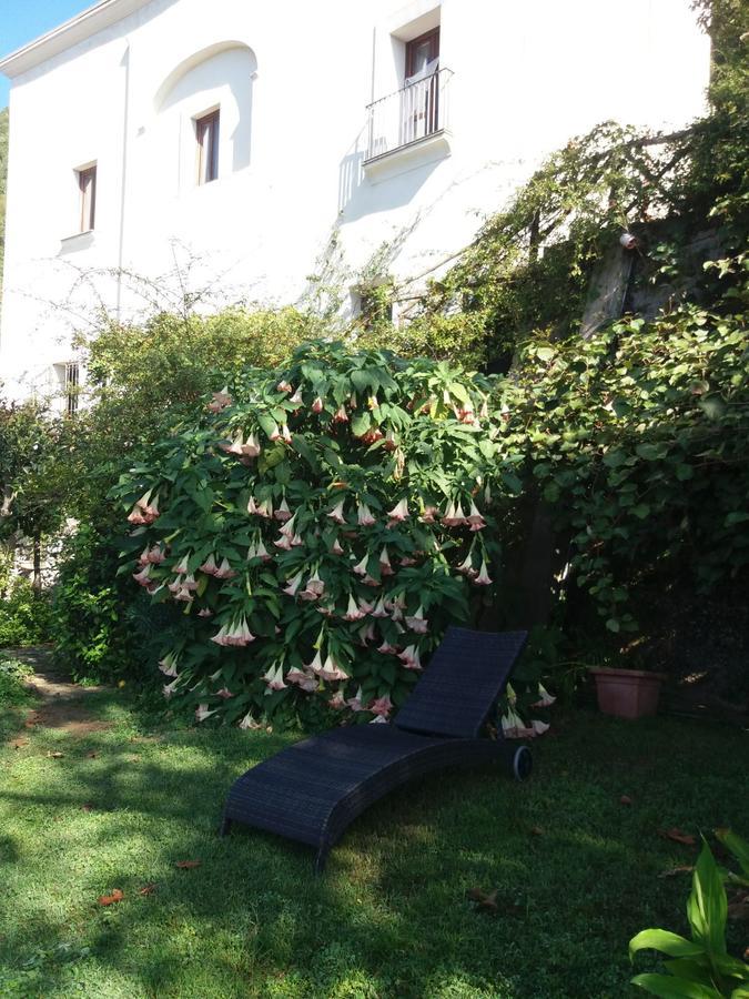 Pietra Rosa Bed & Breakfast Tramonti Exterior photo