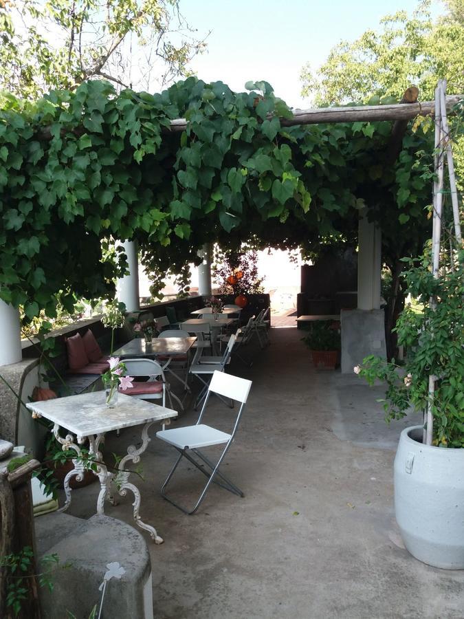 Pietra Rosa Bed & Breakfast Tramonti Exterior photo